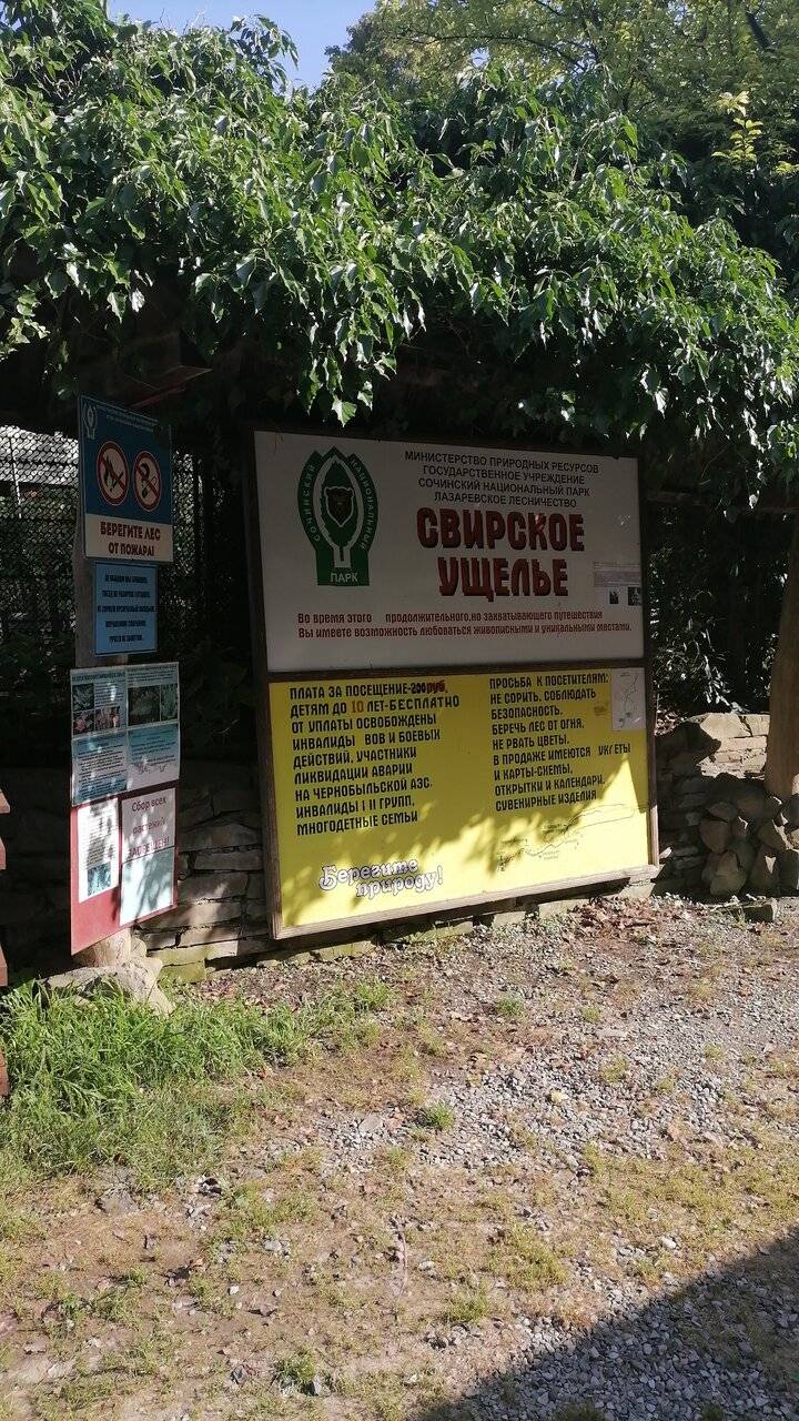 Фото Гостиницы Гармония Лазаревское 62