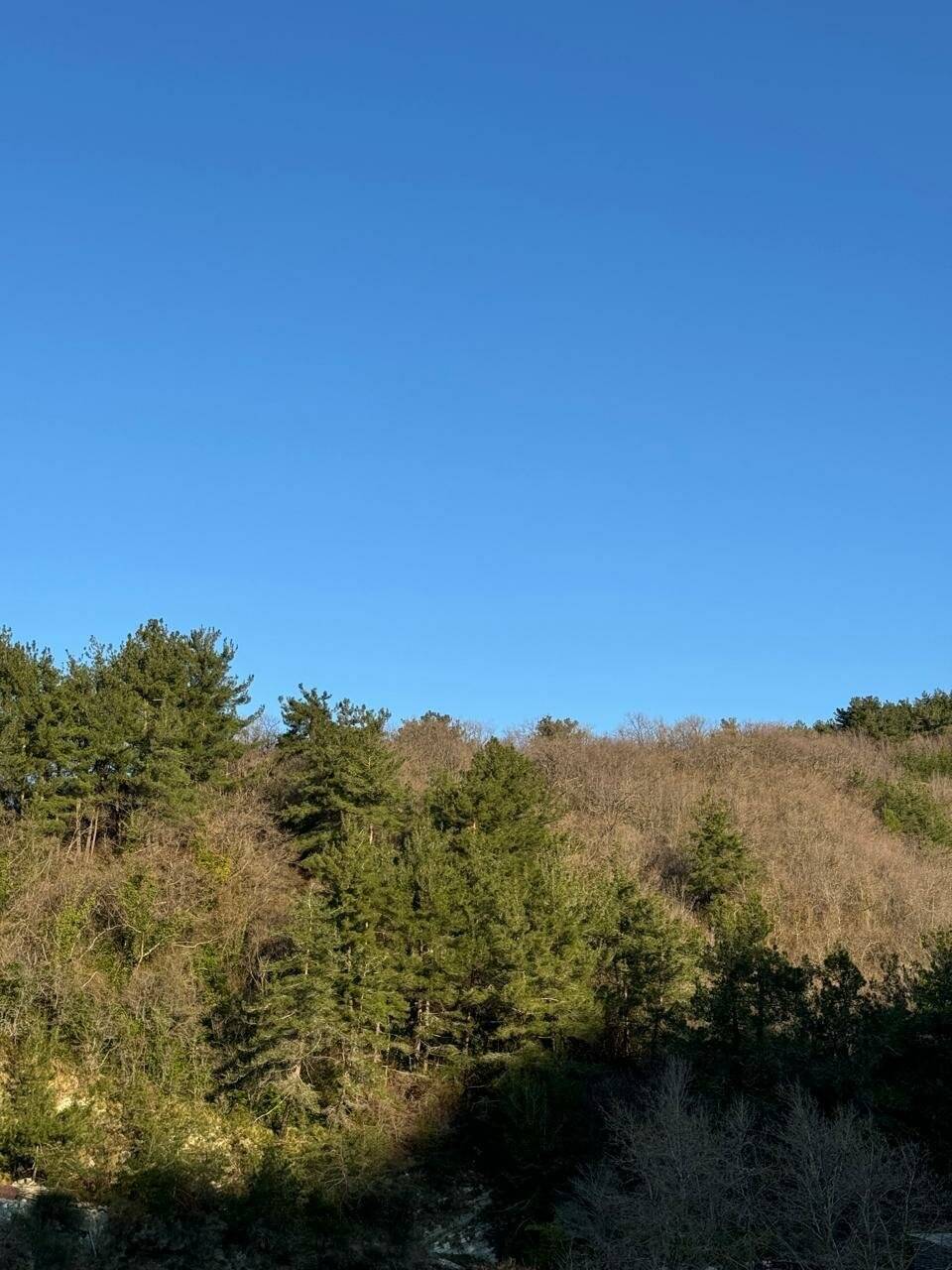 Фото Гостиницы Гармония Лазаревское 6