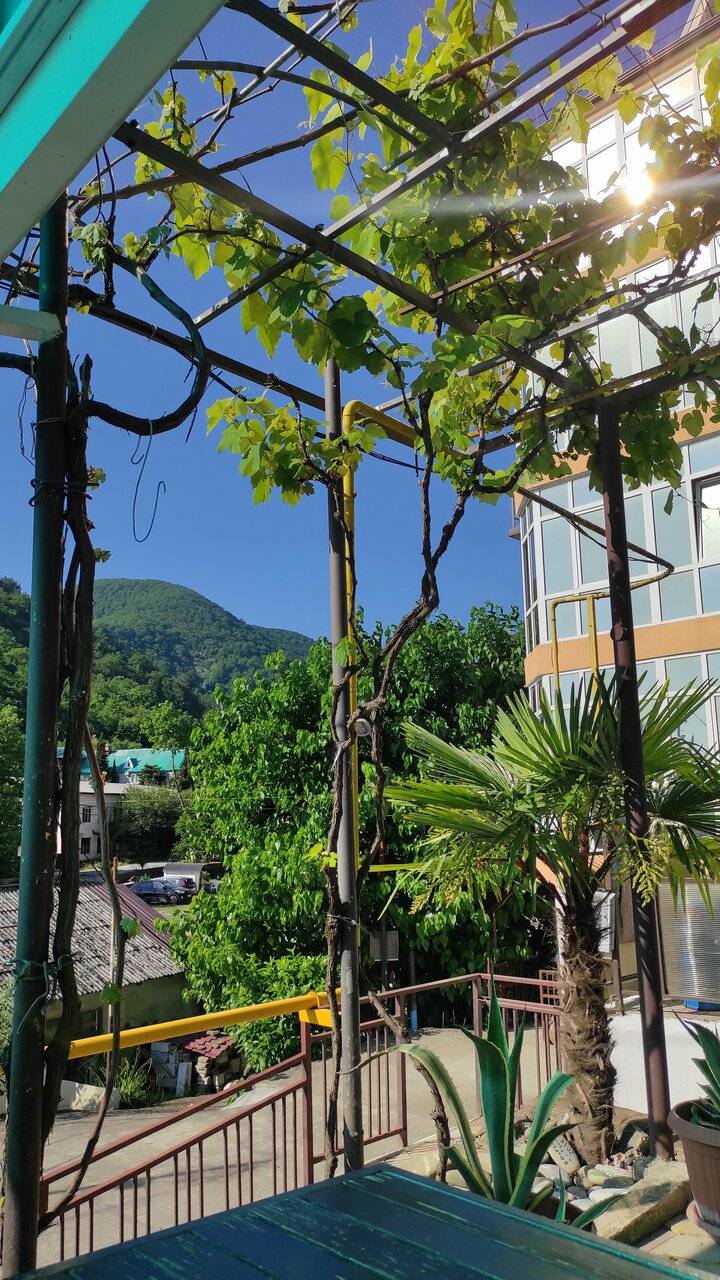 Фото Гостиницы Гармония Лазаревское 57